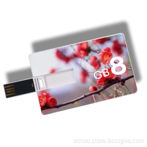 Customized Logo Printiing USB Flash Memory